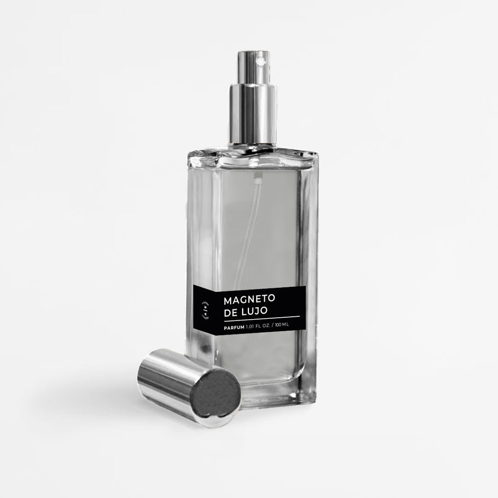 Magneto de Lujo (Inspirado en Man in Black Bvlgari)